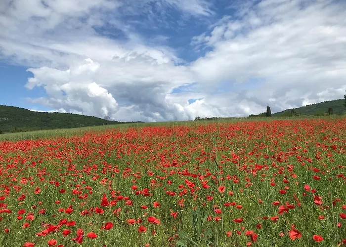 דירה Corte Isabel