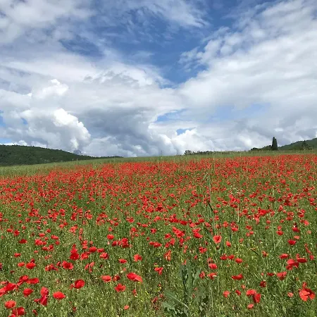 Апартаменты Corte Isabel
